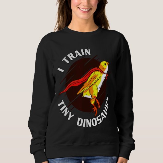 Train Tiny Dinosaurs Chicken Trui (Voorkant)