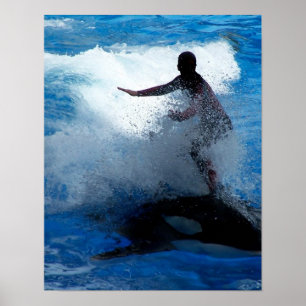 Trainer die op orca foto van killerwalvis rijdt poster