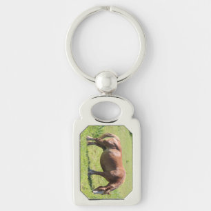 Trait Bretonse paard Sleutelhanger