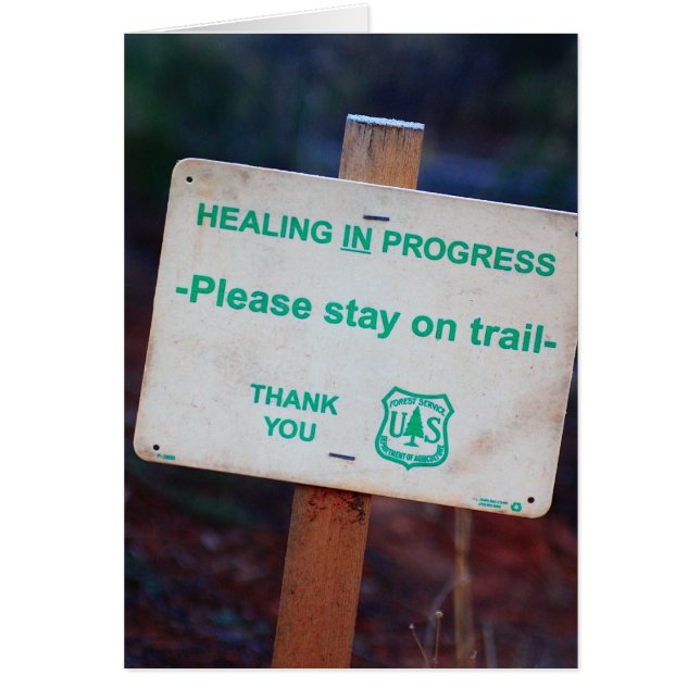 Traitement en cours (Devant)