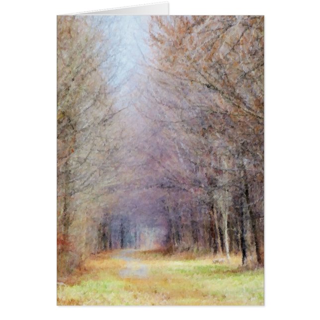 Traject naar lente (Voorkant)