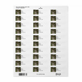 Traject op niveau etiket (Full Sheet)