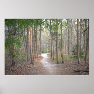 Trajectrij Poster bomen