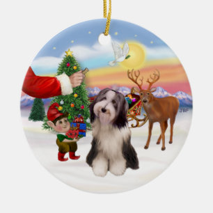 Traktatie voor een Bearded Collie (#4) Keramisch Ornament