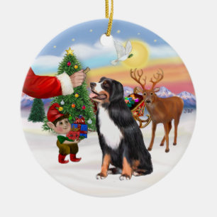 Traktatie voor een Berner Sennenhond Keramisch Ornament