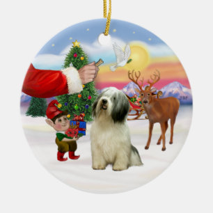 Traktatie voor een Poolse Lowland Sheepdog (#10) Keramisch Ornament