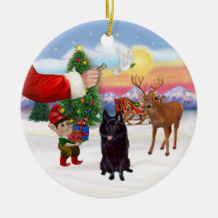 Traktatie voor een Schipperke Keramisch Ornament