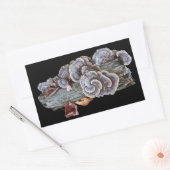 Trametes versicolor Turc Sticker (Enveloppe)
