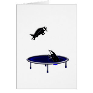 trampolining badgers