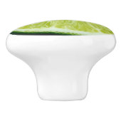 Tranche de bouton de buffet de chaux (Côté)