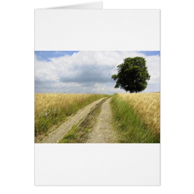 TRANQUIDITEIT (Voorkant)