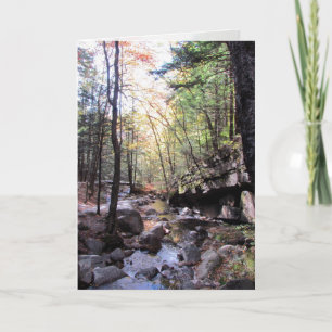 Tranquil Birthday Wishes Kaart