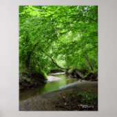 Tranquil Curvy Stream Forest Poster (Voorkant)