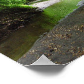 Tranquil Curvy Stream Forest Poster (Hoek)