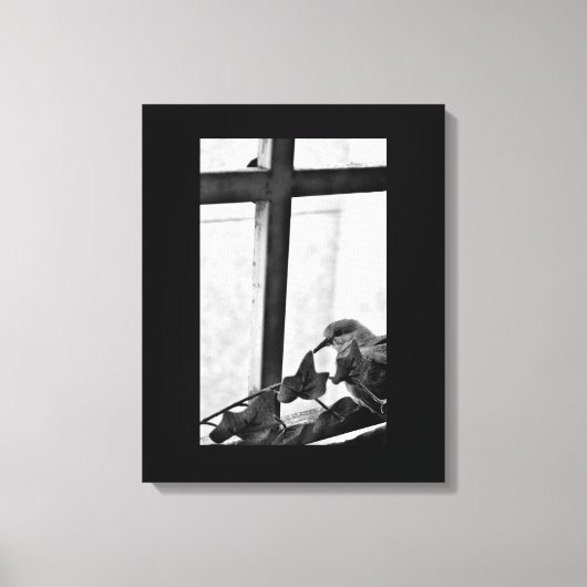Tranquil Dove Canvas Afdruk (Voorkant)