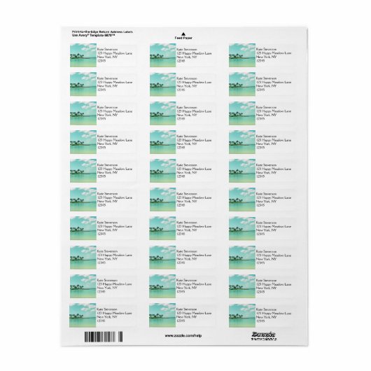 Tranquil en Serene Turquoise Beach in Hawaii Etiket (Full Sheet)