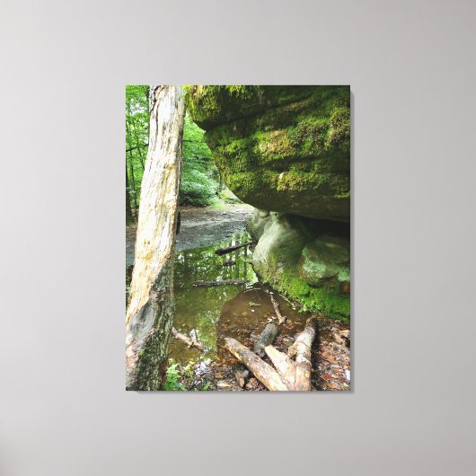 Tranquil Forest Canvas Print | Real Landscape (Voorkant)
