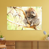 TRANQUIL KOALA 32x48 Canvas Afdruk (Insitu (Woonkamer))