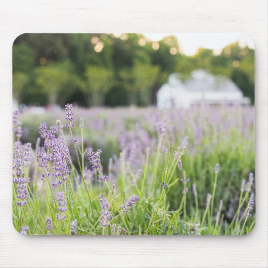 Tranquil Lavendel veld Muismat (Voorkant)