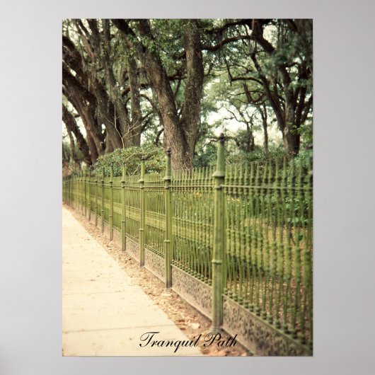 Tranquil pad afdrukken poster (Voorkant)