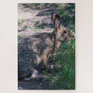 Tranquil Rabbit: Rust in Natuur Legpuzzel