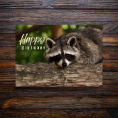 Tranquil Raccoon Rustique carte d'anniversaire
