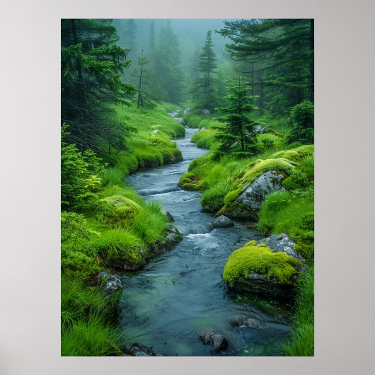 Tranquil River Poster (Voorkant)