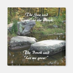 Tranquil Stream - Magnet #2 Magneet