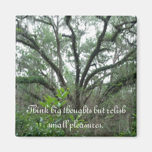 Tranquil Tree Magnet Magneet (Voorkant)