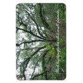 Tranquil Tree Magnet Magneet (Verticaal)