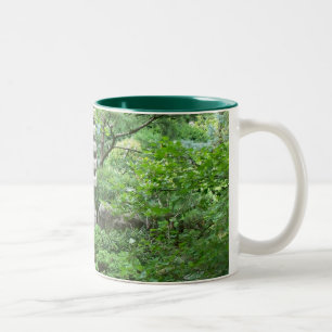 Tranquil tuin met Mok van beeld