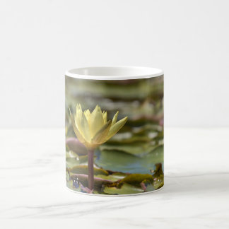 Tranquil Water Lily Coffee Mug – Nature Photograph Koffiemok