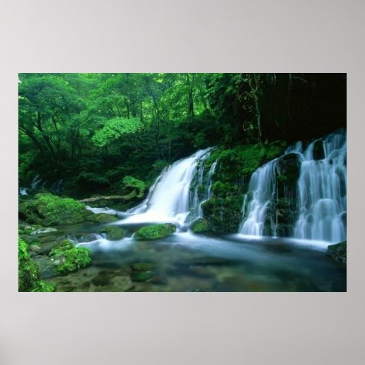 Tranquil Waterfall Poster (Voorkant)