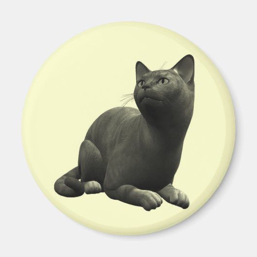 Tranquil zwarte kat magneet (Voorkant)