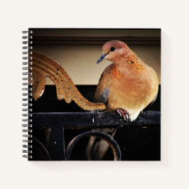 Tranquiliteit Notitieboek