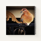 Tranquiliteit Notitieboek (Achterkant)