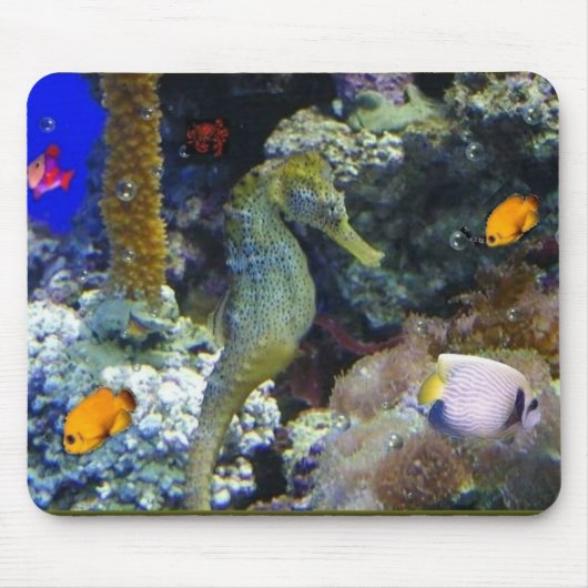 Tranquiliteit onder Mousepad Muismat (Voorkant)