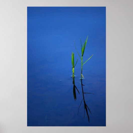 Tranquiliteit Poster (Voorkant)