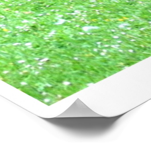 Tranquiliteit Poster (Hoek)