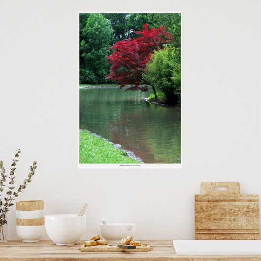 Tranquiliteit Poster (Keuken)