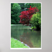 Tranquiliteit Poster (Voorkant)