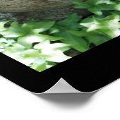 Tranquiliteit Poster (Hoek)