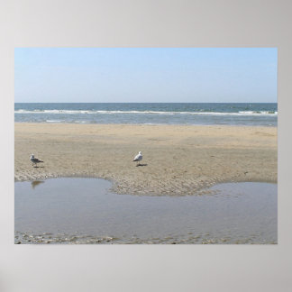 Tranquiliteit Poster