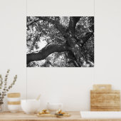 TranquiliteitsPoster Poster (Keuken)