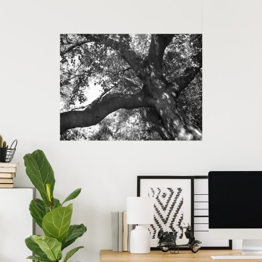 TranquiliteitsPoster Poster (Thuiskantoor)