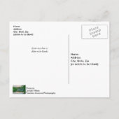 Tranquility Post Card Lake Springfield Evening Briefkaart (Achterkant)