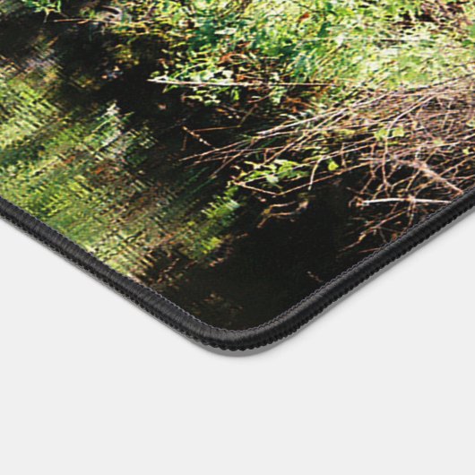 Tranquillité dans les bois..... (Coin)