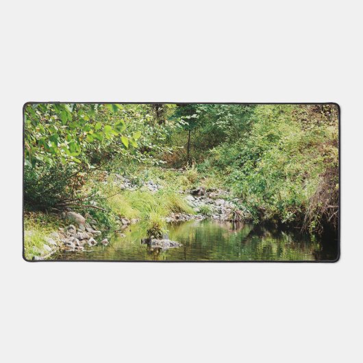 Tranquillité dans les bois..... (Recto)