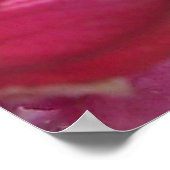 Tranquilo Poster (Hoek)