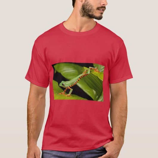 Tranquysemv Calm Vibes Tee T-shirt (Voorkant)